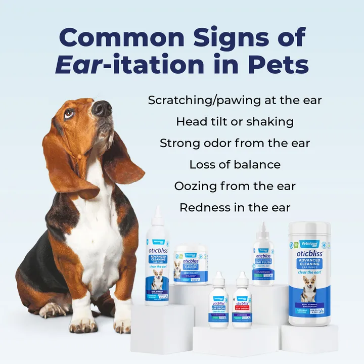 Oticbliss™ Anti-Bacterial & Anti-Fungal Chlorhexidine Ear Flush