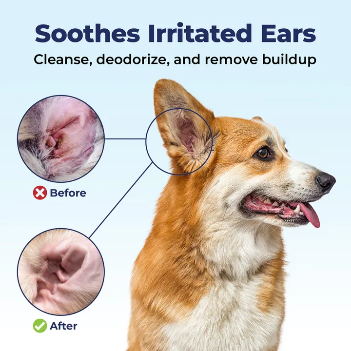 Oticbliss™ Anti-Bacterial & Anti-Fungal Chlorhexidine Ear Flush