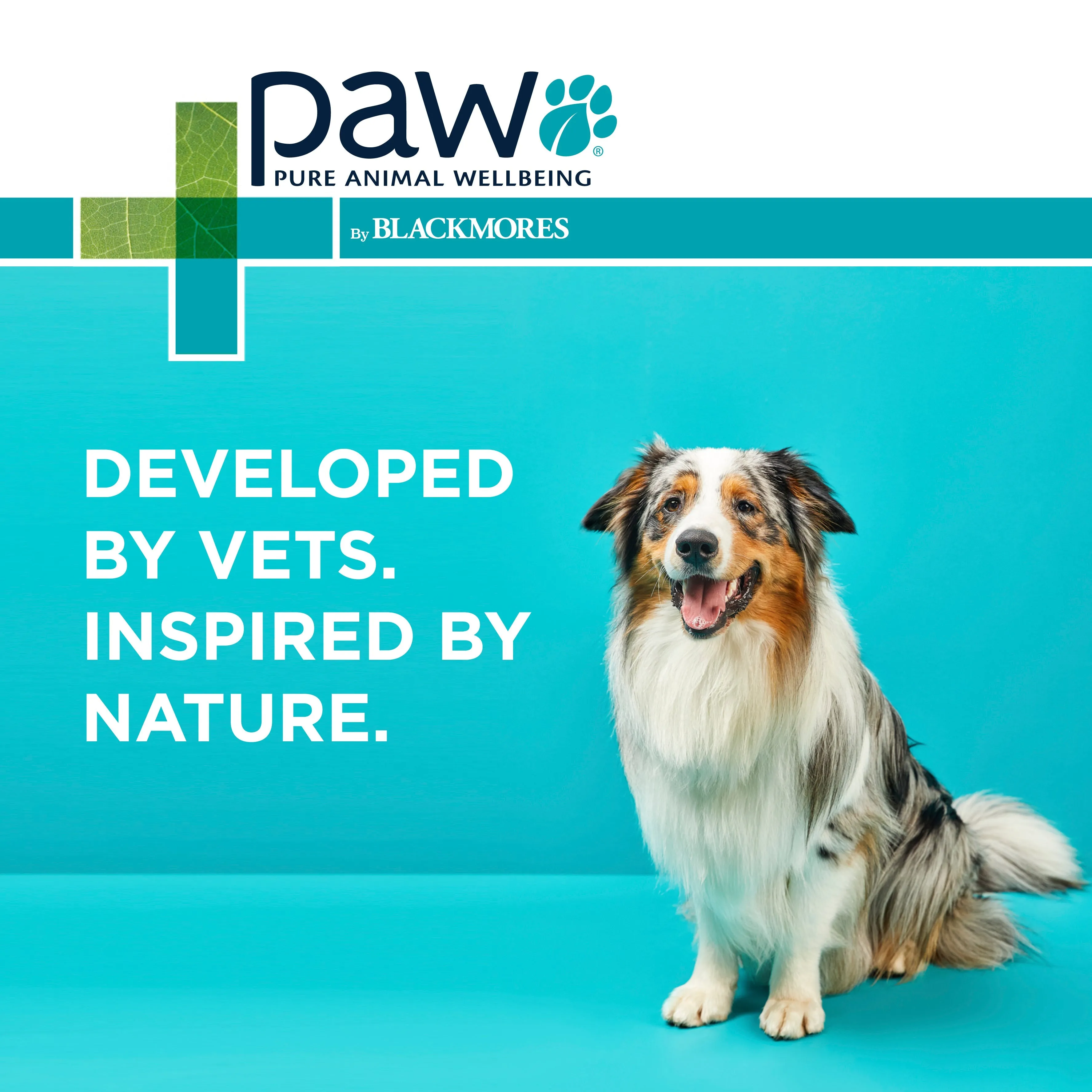 PAW Osteocare Chews Small Dogs
