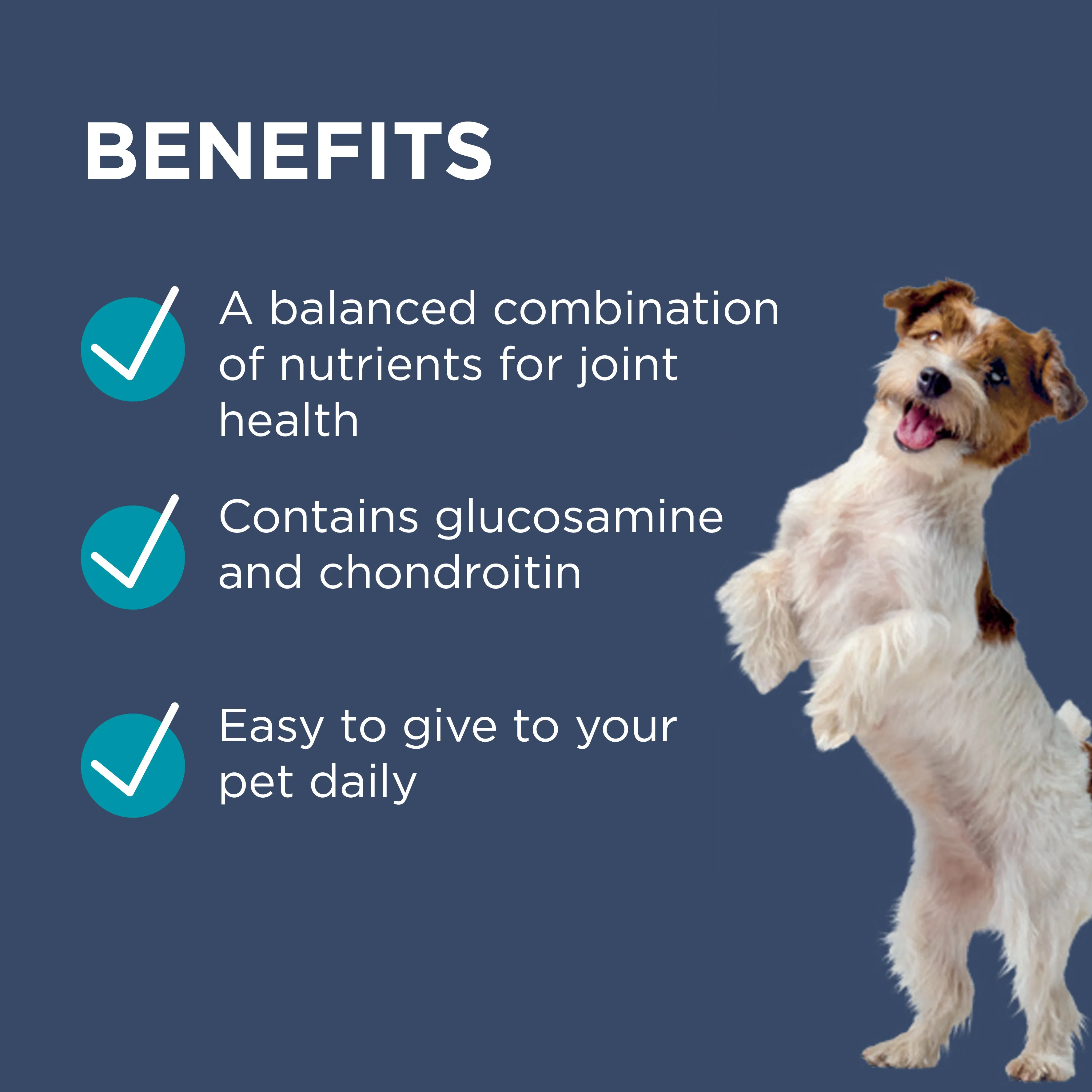 PAW Osteocare Chews Small Dogs