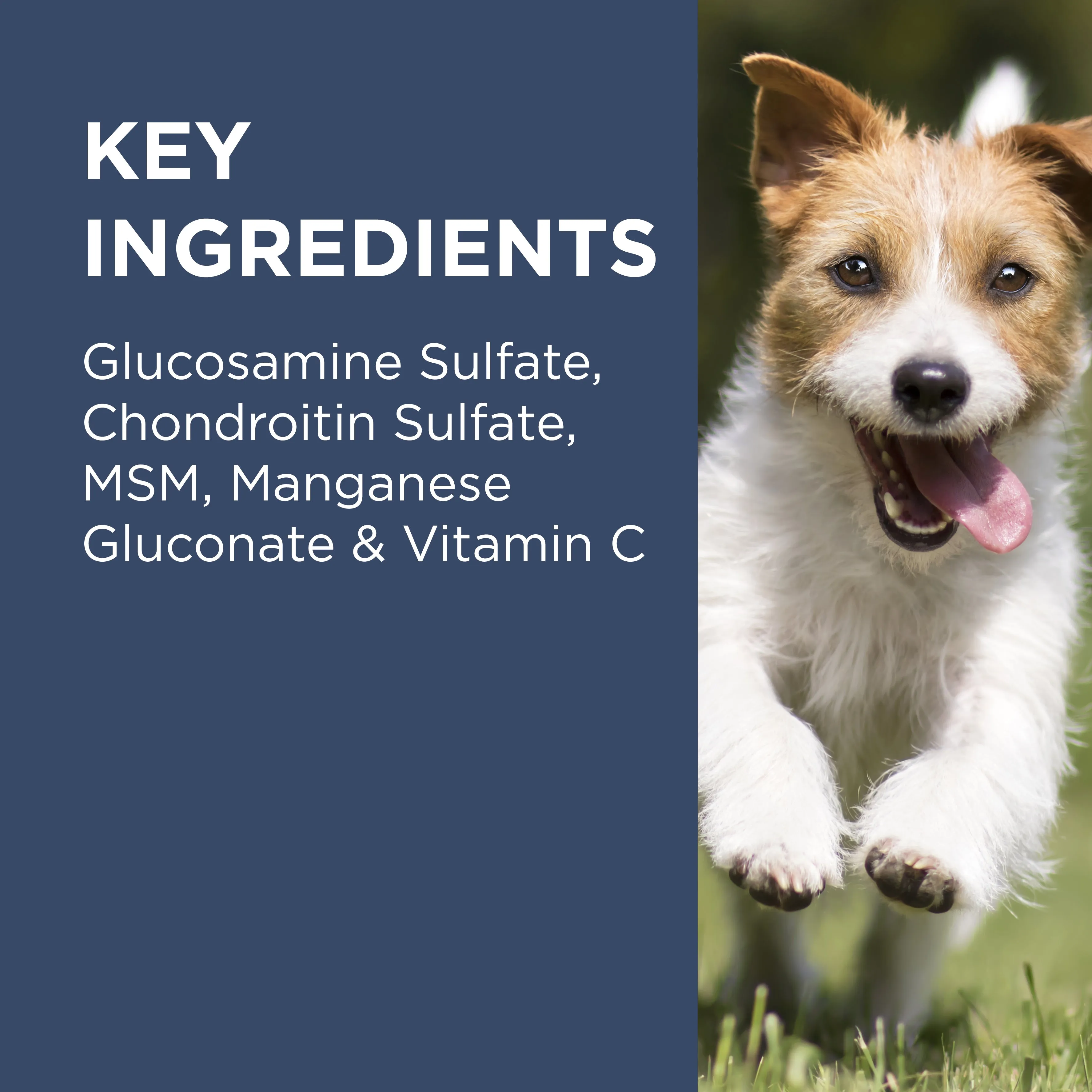 PAW Osteocare Chews Small Dogs