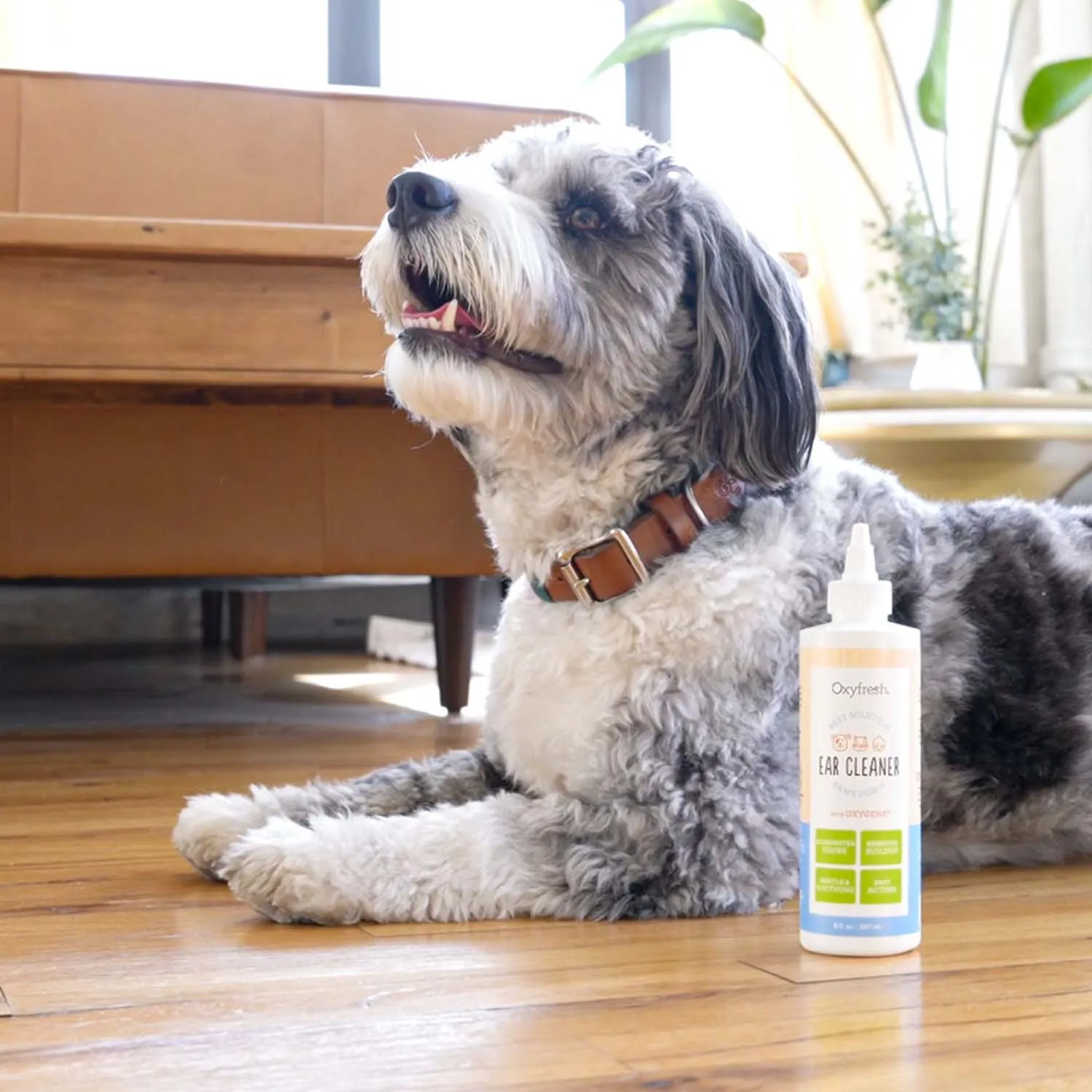 Pet Ear Cleaner Yeast-Fighting Ear Wash