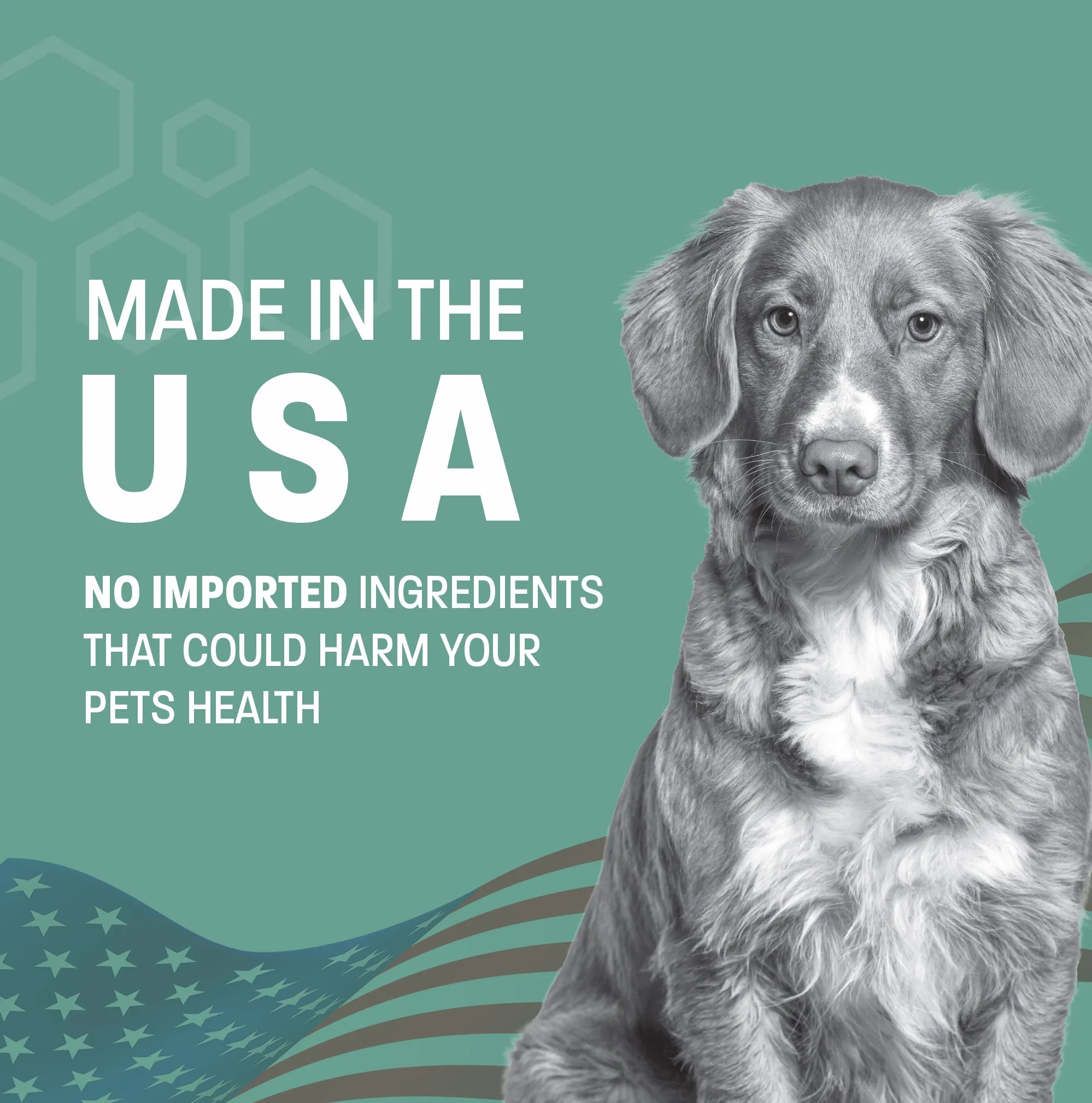 Pet Health Pros Dog Anxiety Relief Chews; Hemp-Infused, Natural Ingredients, Stress Relief; 60 and 120 Count, Zesty Chicken