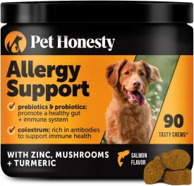 Pet Honesty Dog Allergy & Itch Relief - Advanced Itch Supplement with Probiotics for Dogs - Immune Support & Skin Relief for Seasonal Allergies - Natural Itchy Skin & Paw Relief - (Salmon, 90 Ct)