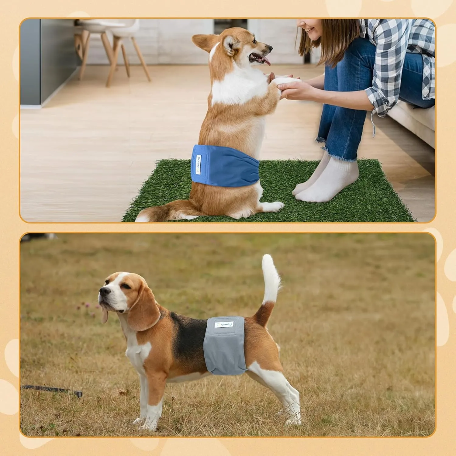 Teamoy Reusable Wrap Diapers for Male Dogs, Washable Puppy Belly Band Pack of 3 (XL, 25"-29" Waist, Black  Gray  Lake Blue)