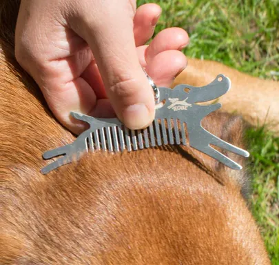 Tick Tool