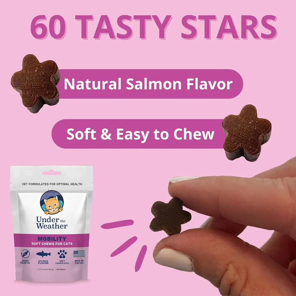 Under the Weather Mobility Soft Chews for Cats, 60 count