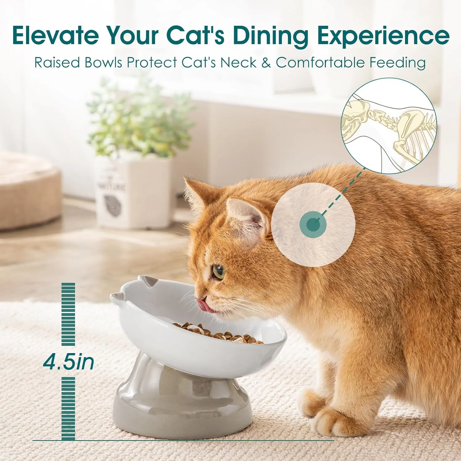 vancasso Slow Feeder Cat Bowl, Elevated Ceramic Slow Feeder Dog Bowls Small Breed, Raised Tilted Cat Food Bowls (Grey)