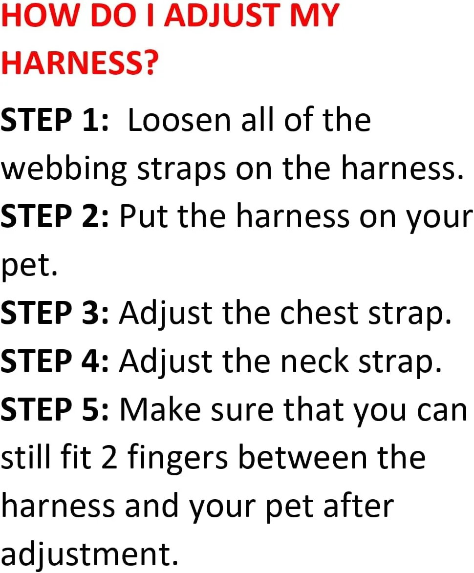 Voyager Step-in Air Cat Harness - All Weather Mesh Step in Vest Harness for Small and Medium Cats by Best Pet Supplies - Set (Baby Blue), XXS