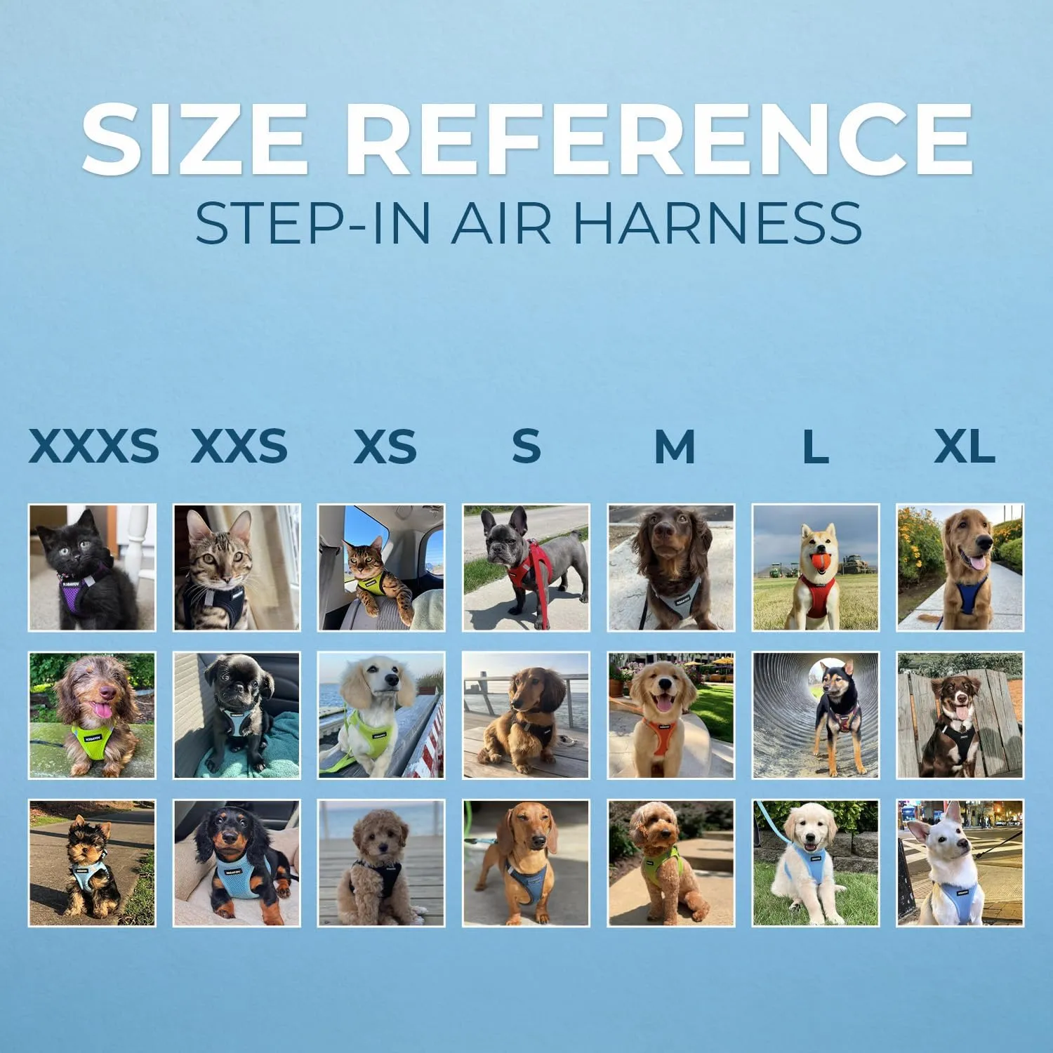Voyager Step-in Air Cat Harness - All Weather Mesh Step in Vest Harness for Small and Medium Cats by Best Pet Supplies - Set (Baby Blue), XXS