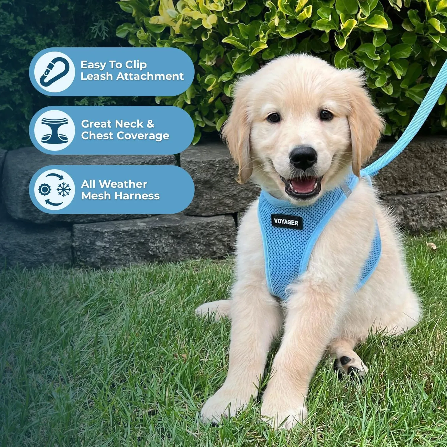 Voyager Step-in Air Cat Harness - All Weather Mesh Step in Vest Harness for Small and Medium Cats by Best Pet Supplies - Set (Baby Blue), XXS