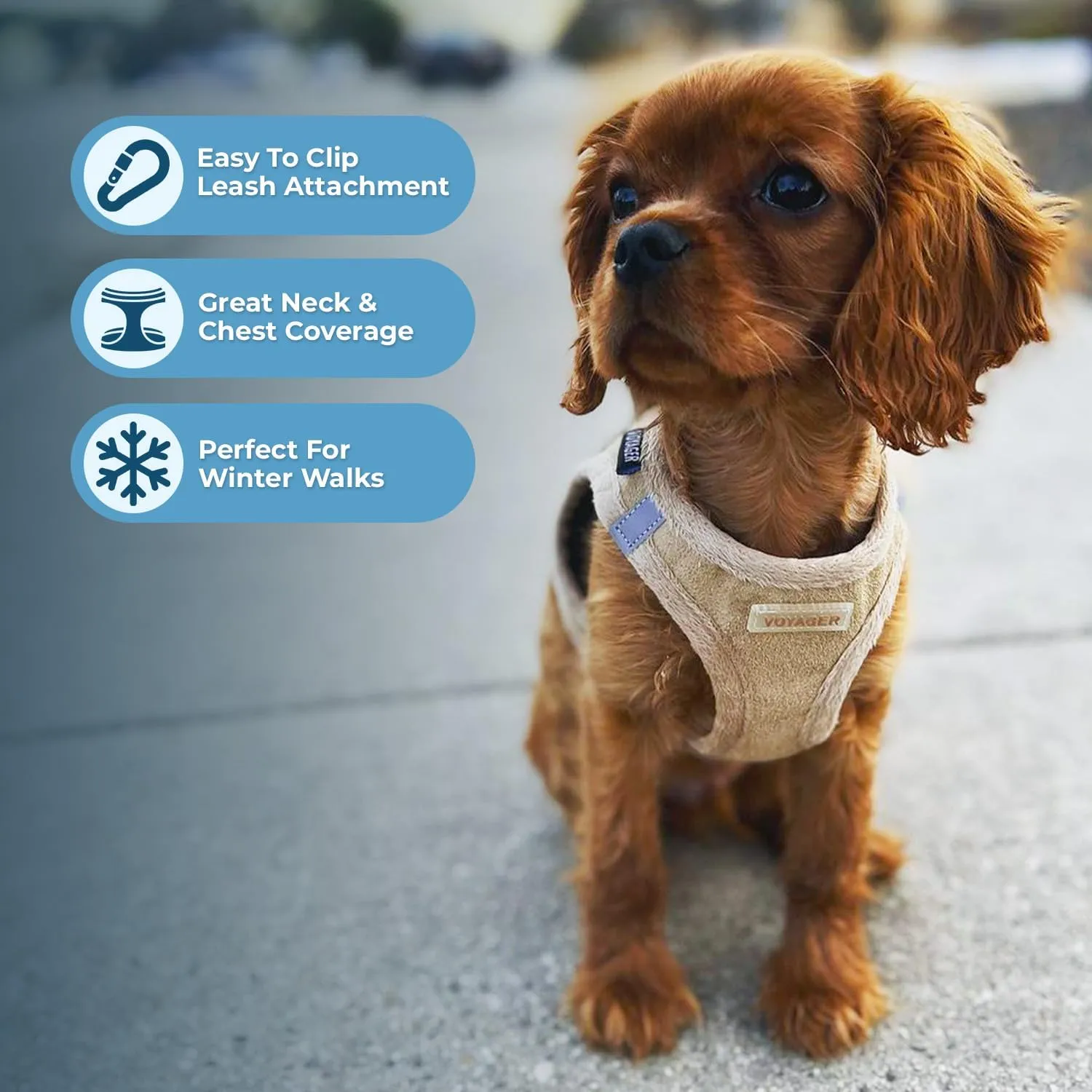 Voyager Step-In Plush Dog Harness  Soft Plush, Step In Vest Harness for Small and Medium Dogs by Best Pet Supplies - Harness (Latte Suede), M (Chest: 16 - 18")